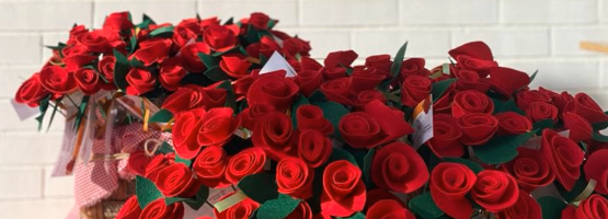 24.04.23 – Sant Jordi a la Unitat Sociosanitària i Hospital de Dia