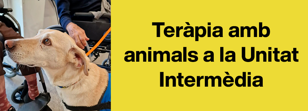20.11.2023 – Teràpia amb animals a la Unitat Intermèdia