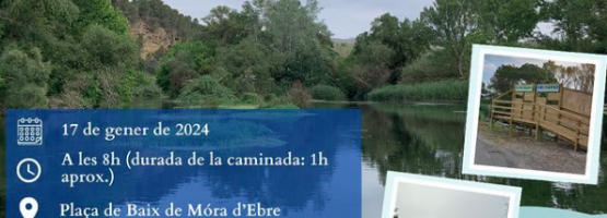 Caminada Popular a Móra d’Ebre. Data: 17 de gener de 2024.Organitza: L’Aube