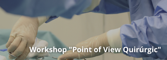 19.11.24 – Workshop «Point of View Quirúrgic»