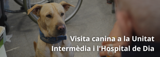 26.11.24 – Visita canina a la Unitat Intermèdia i l’Hospital de Dia